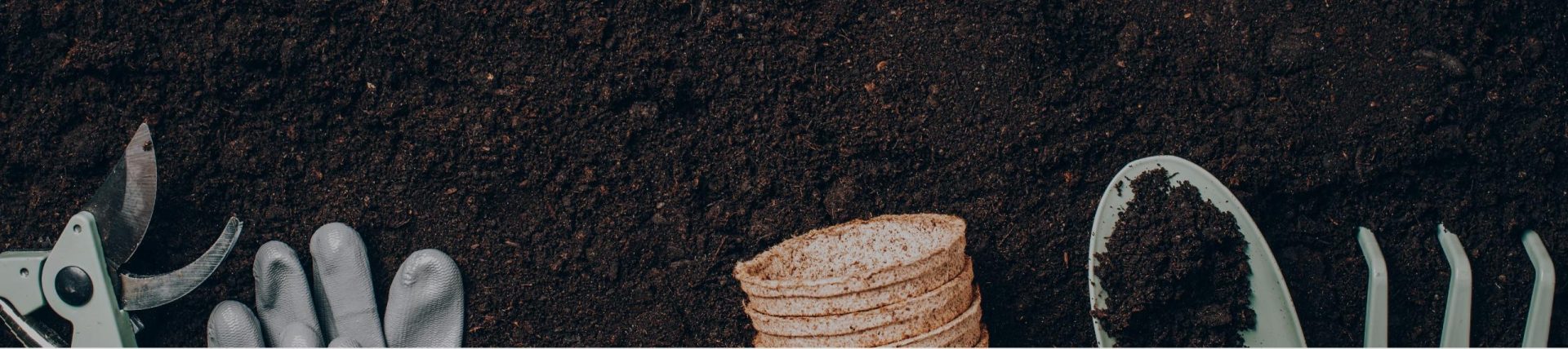 Learn about Homegrown Outlet