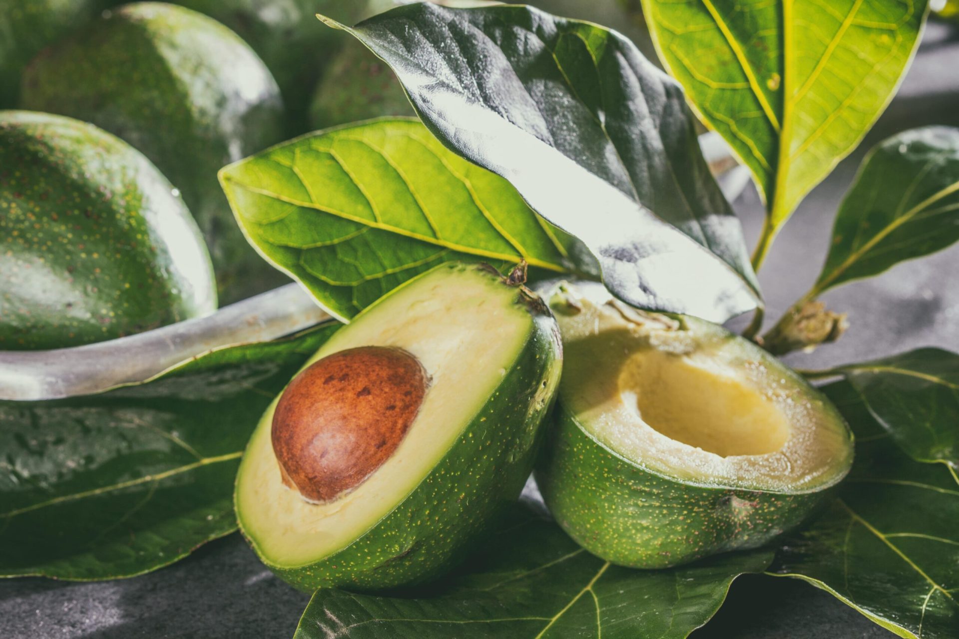 Sliced avocado with leaves attached - avocado growing guide