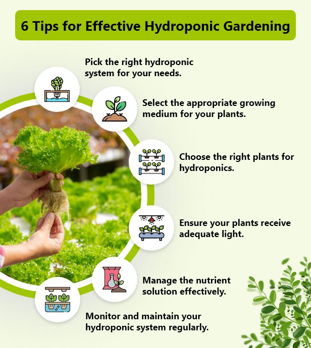 hydroponic gardening technique