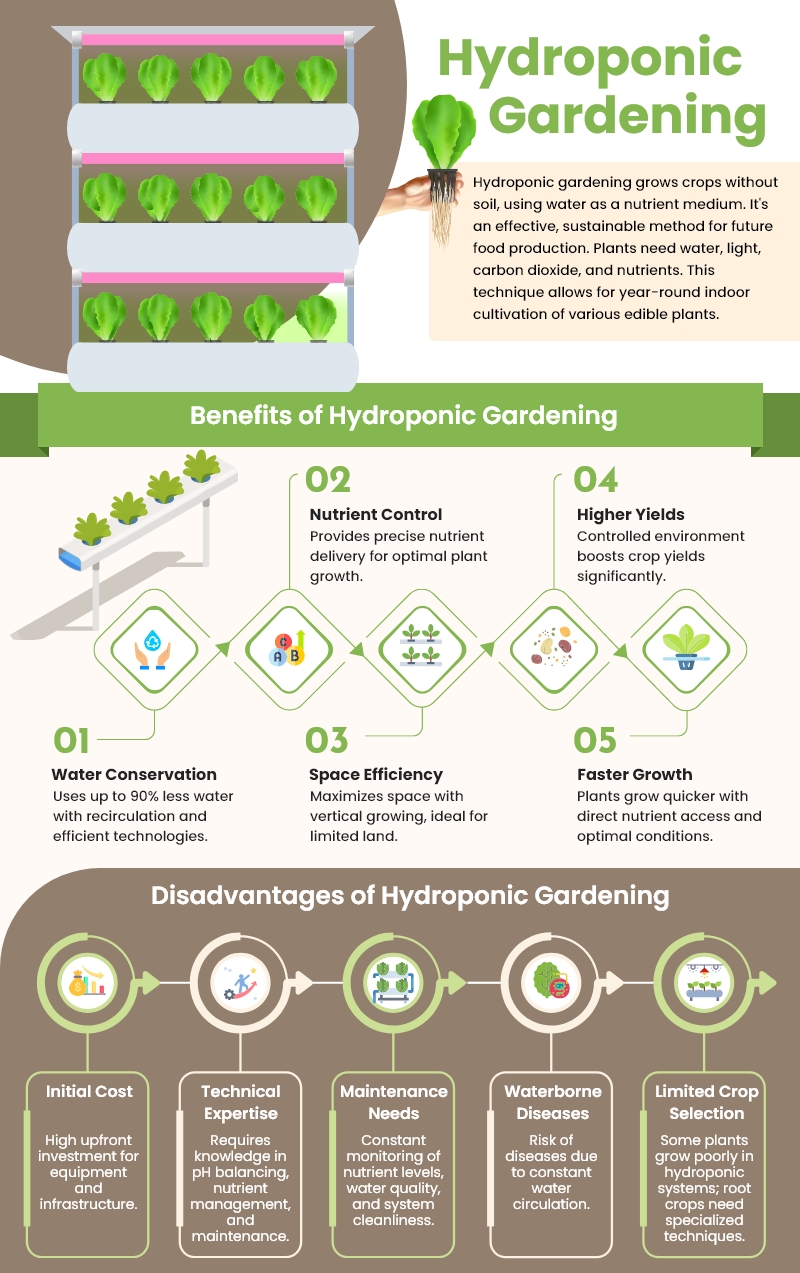 benefits of Hydroponics Gardening System