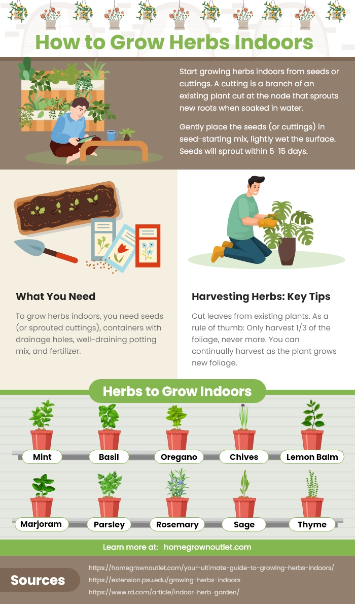 How to grow herbs indoors guide