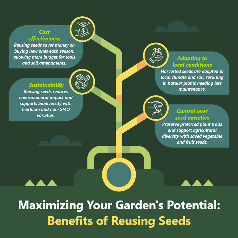 Benefits of Reusing Seeds for Planting