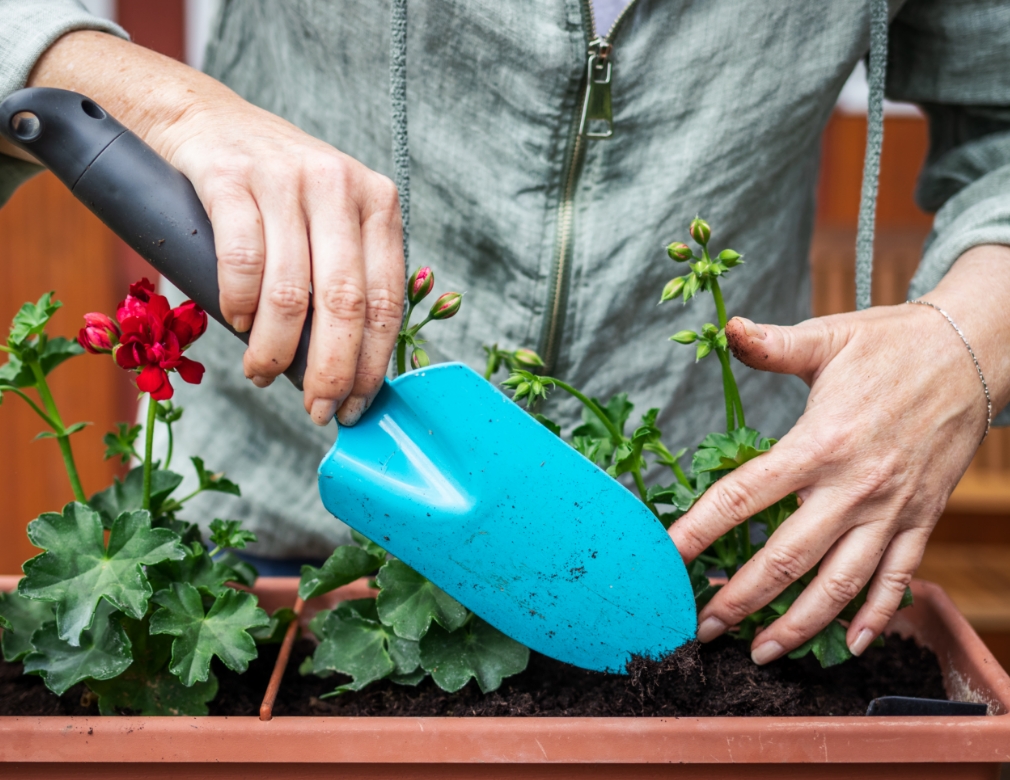 Keep Garden Clean and Green with Useful Maintenance Tips