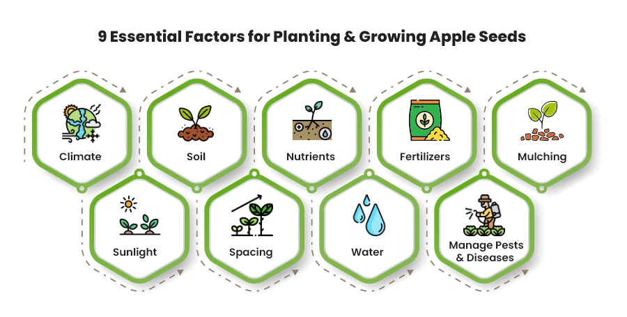 factors to growing apple trees