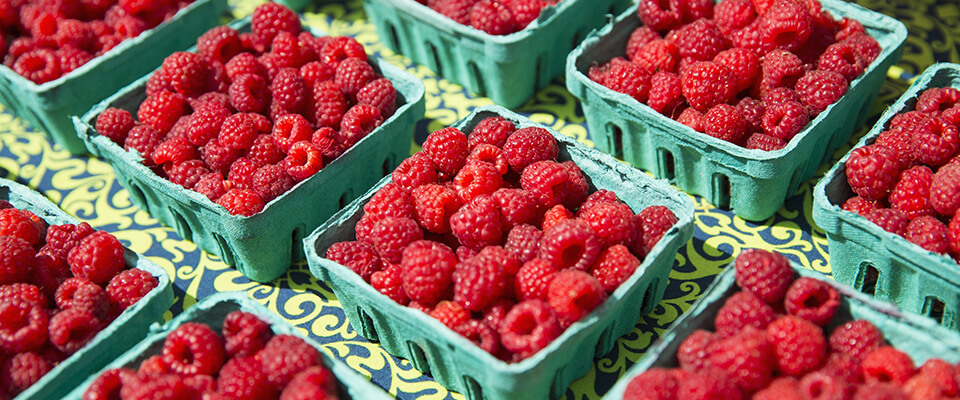 Raspberries in containers