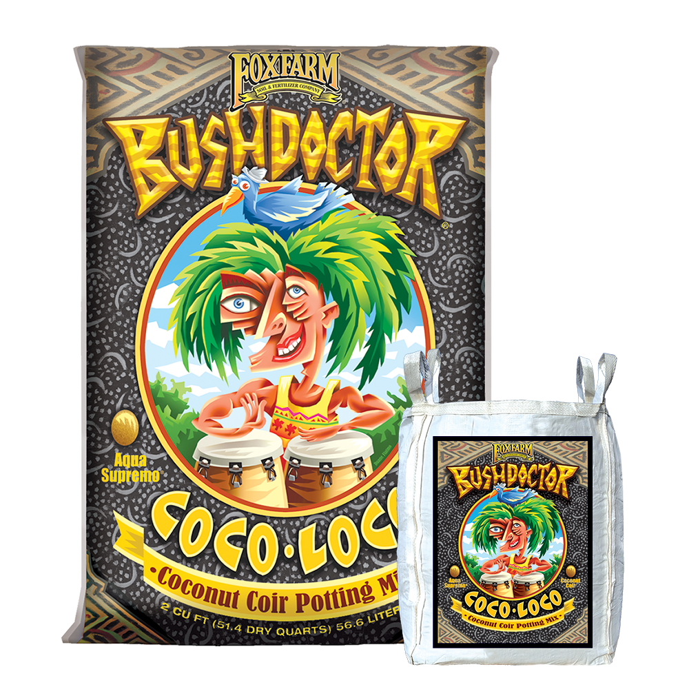Bush Doctor Coco Loco