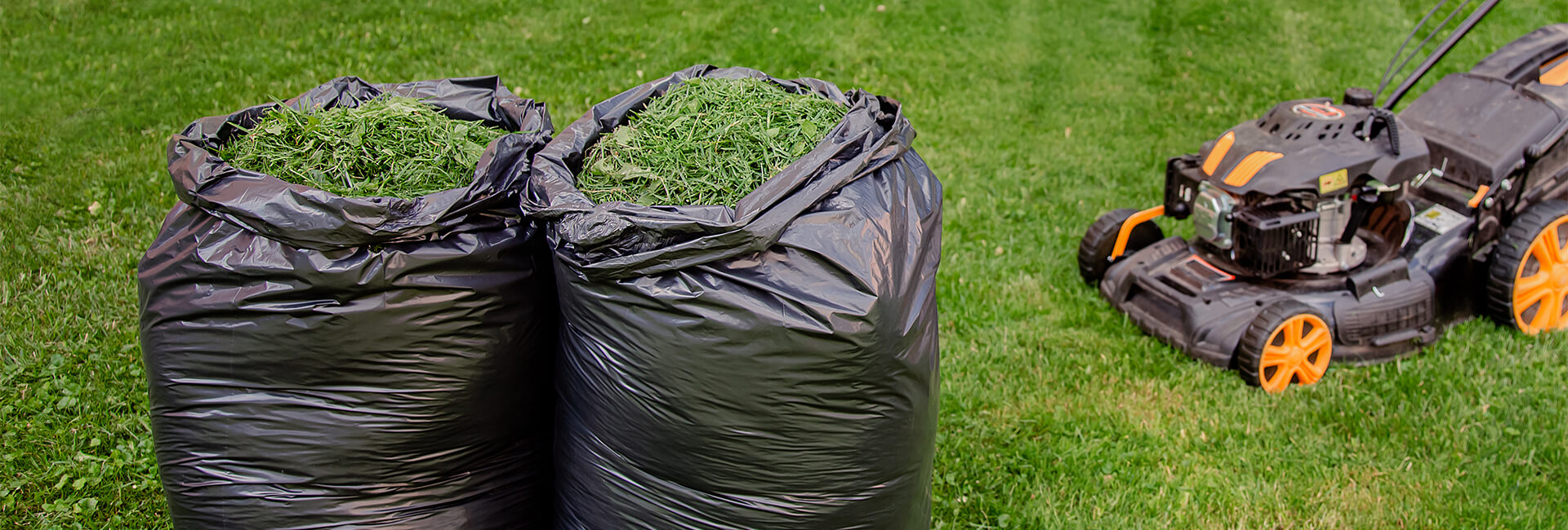 Grass clippings in bags for mulch