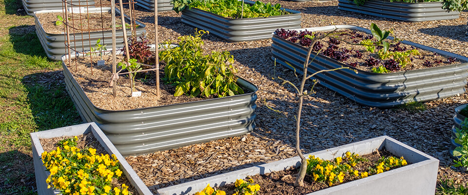 Alternatives to pressure treated raised beds