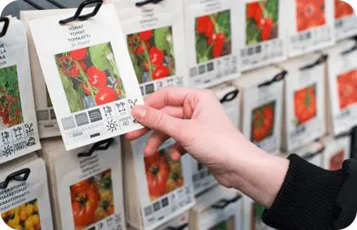 Shopper browsing organic seeds for sale