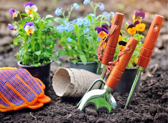 Flowers and gardening tools in soil - Gardening 101 blog
