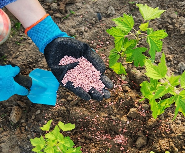 Soil amendments and nutrients - available at Homegrown Outlet