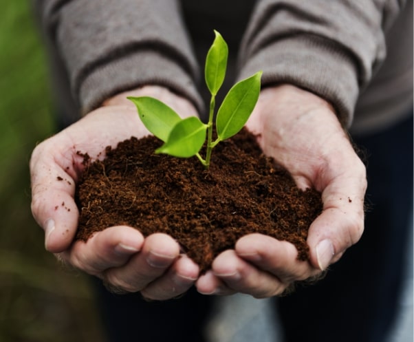 Indoor growing media - Homegrown Outlet