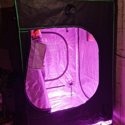 Indoor grow tents - available at Homegrown Outlet