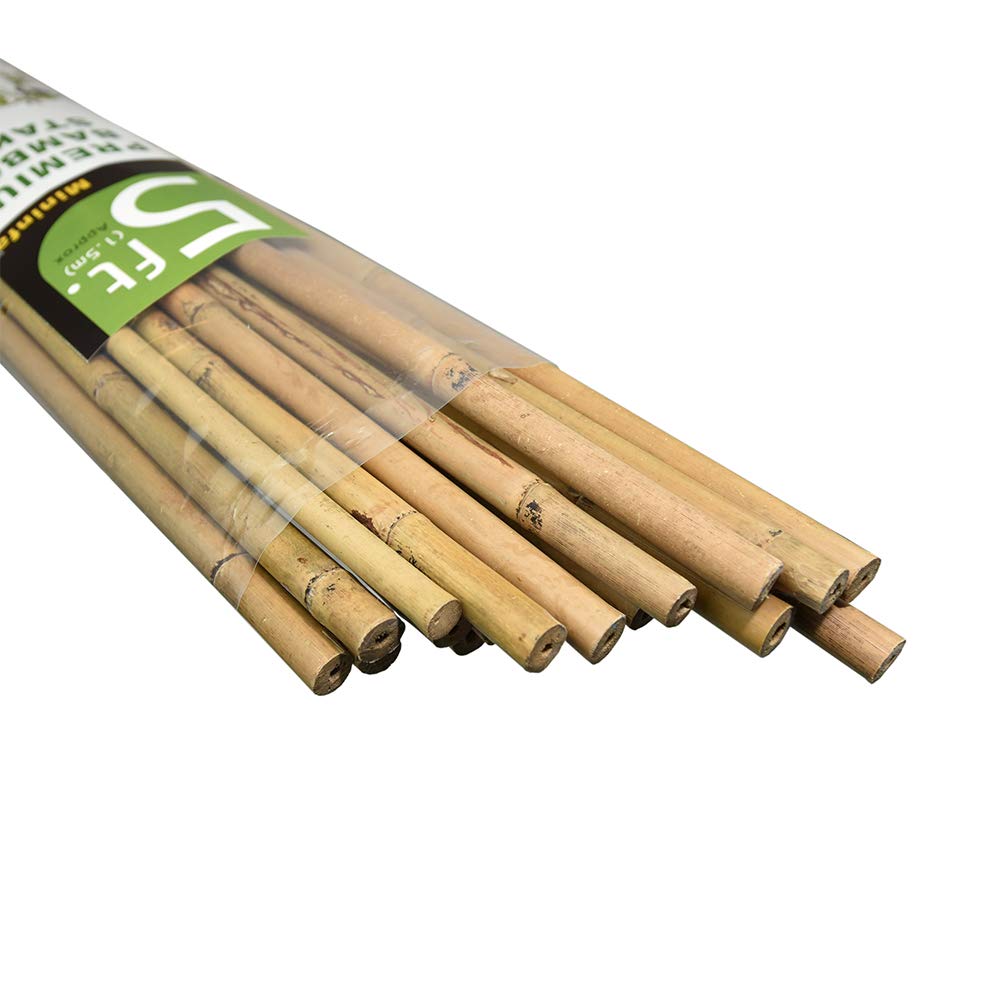 Stake Tonkin Bamboo