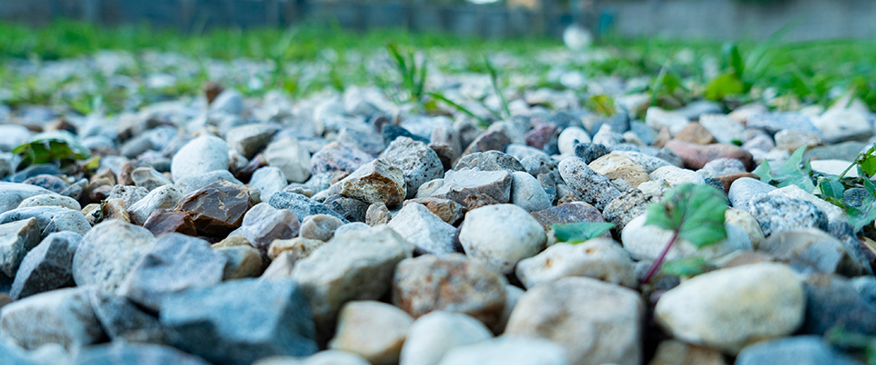 What Is Rock-Dust