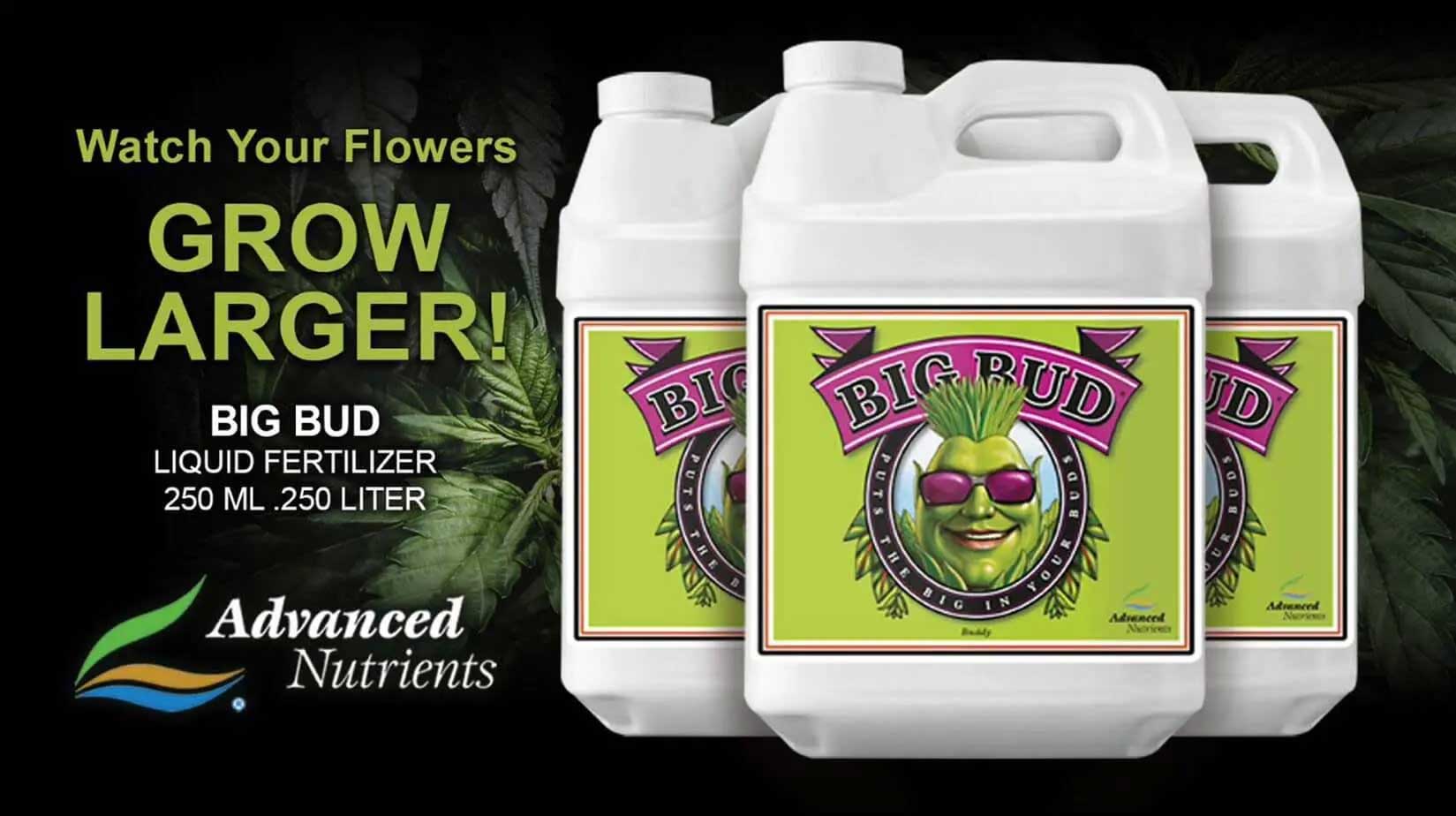 Big Bud Liquid Fertilizer - available at Homegrown Outlet