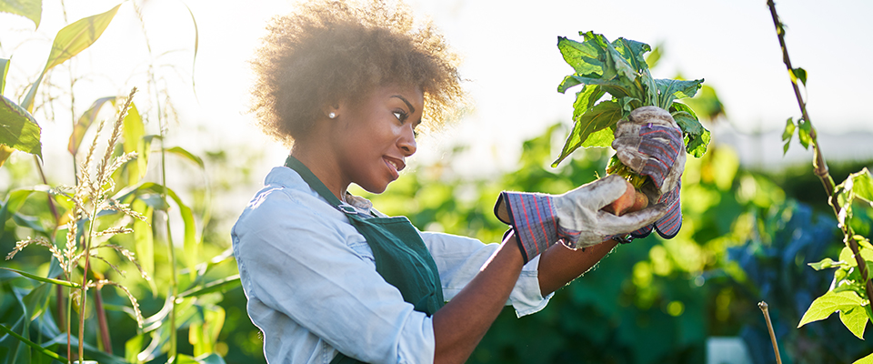 how to take care of your garden