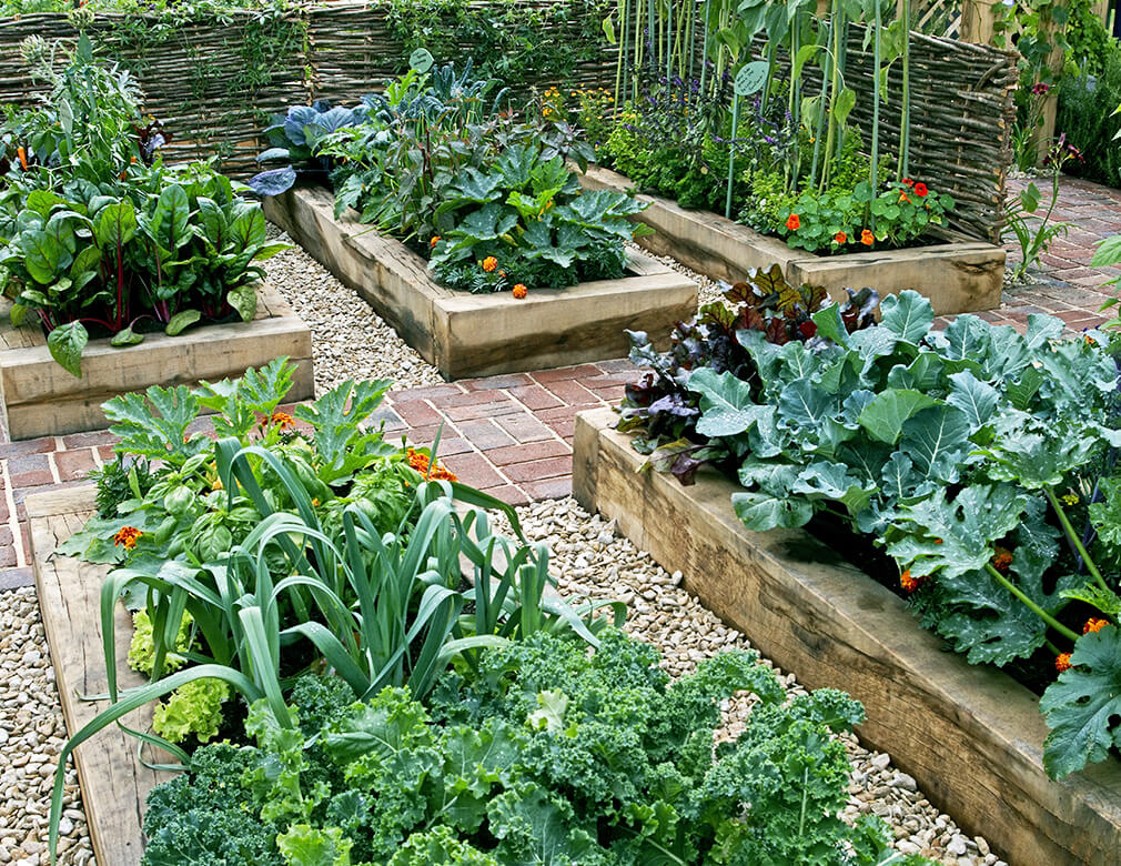 The Right Garden Size for Your Family: A Comprehensive Guide