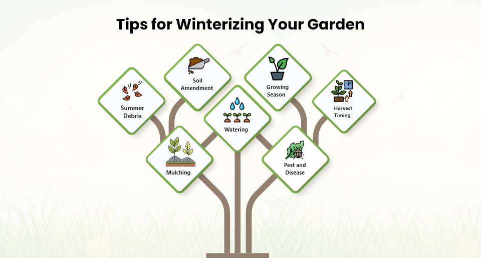 Tips for Winterizing Your Garden