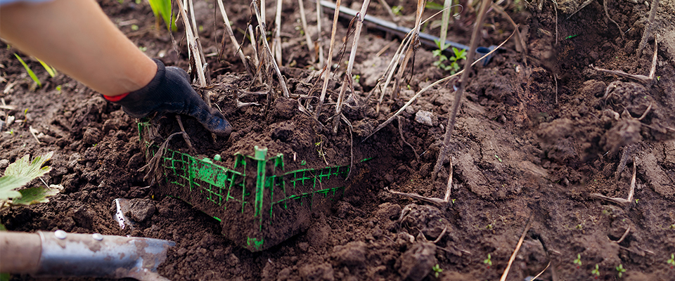 your gardening journey at end of the season