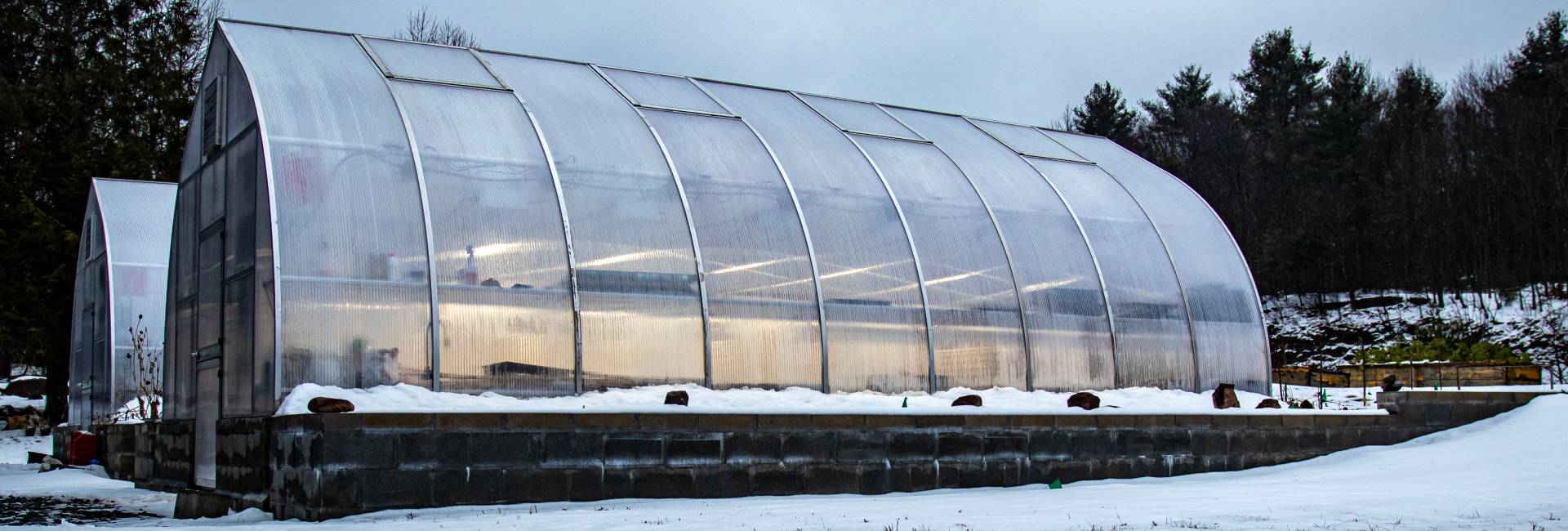 How to start winter greenhouse gardening