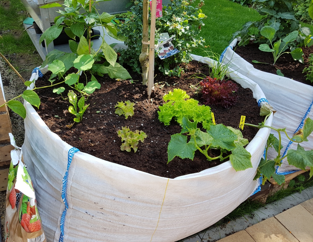 5 Types of Bagged Soil for Vegetable Gardens: Which Is Best?