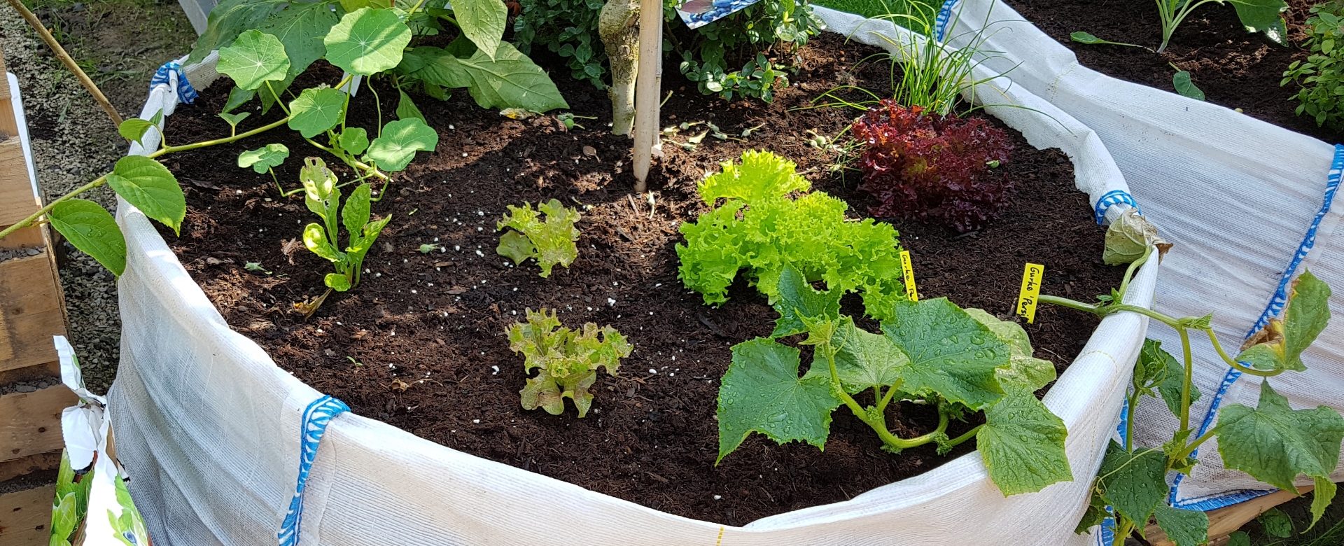 type of bagged soil for vegetable garden