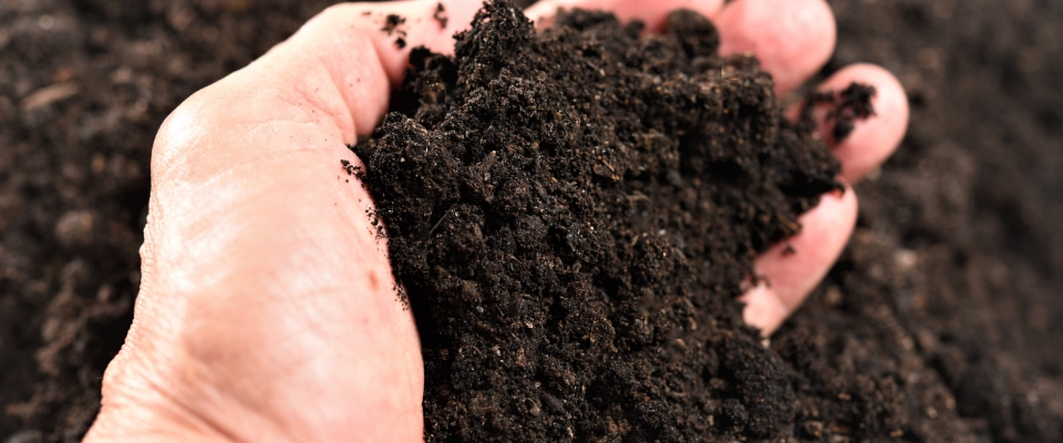 Tips for Choosing Bagged Soil