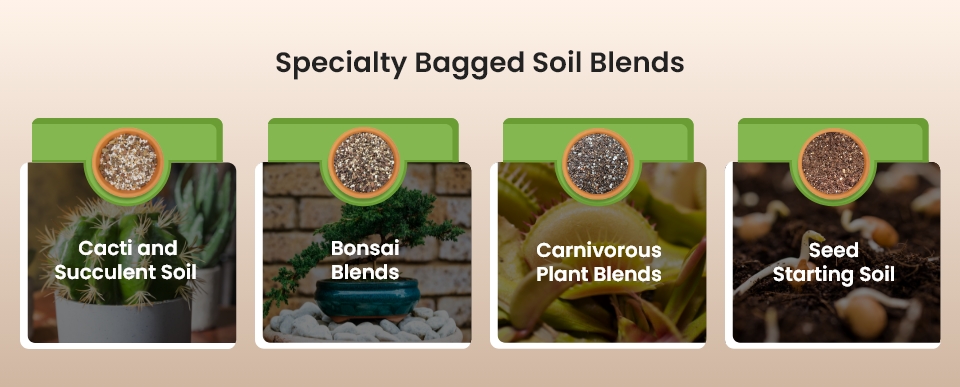 Best Bagged Soil for Vegetable Gardens