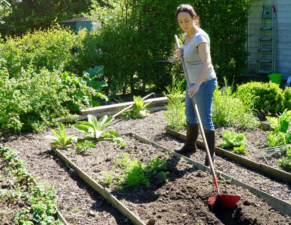 How to Prep a Garden for Spring: 7 Must-Do Tasks