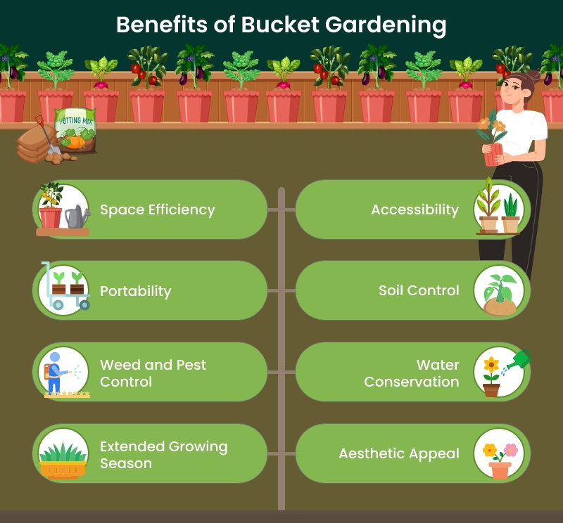 benefits of buckets garden