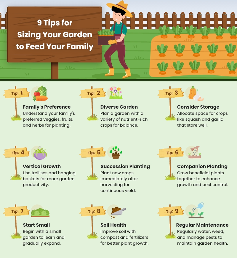 sizing your garden to feed your family