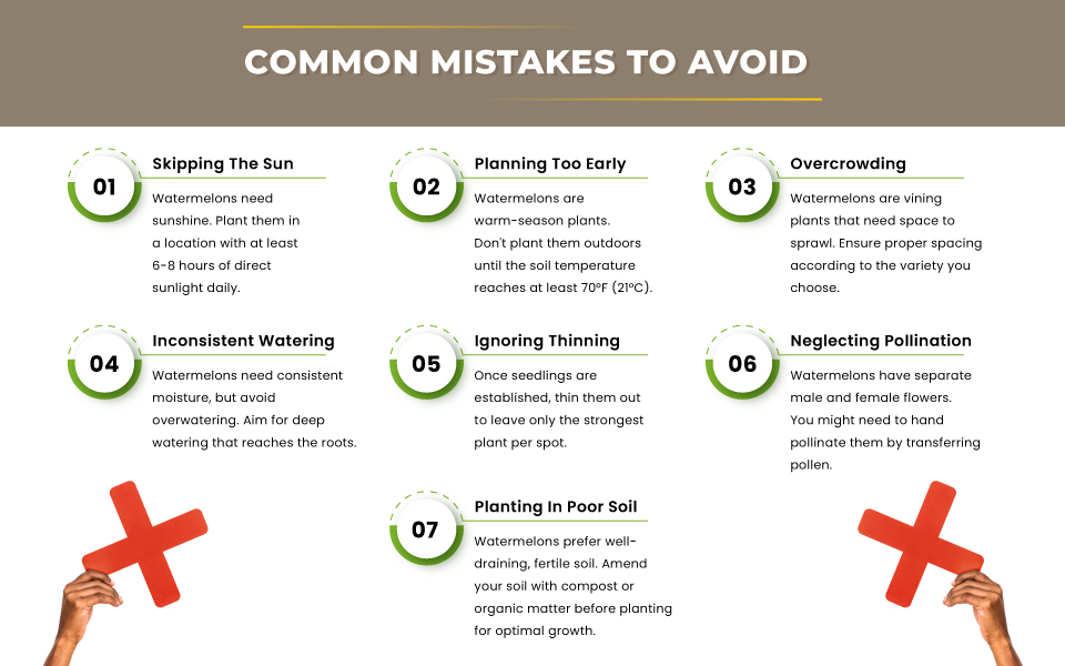 Common-Mistakes-to-Avoid-Infographic