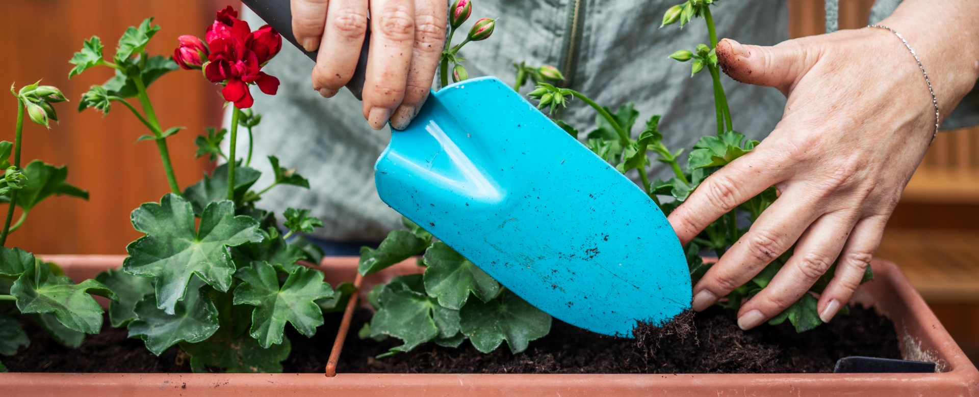 KEEP GARDEN CLEAN AND GREEN WITH USEFUL MAINTENANCE TIPS