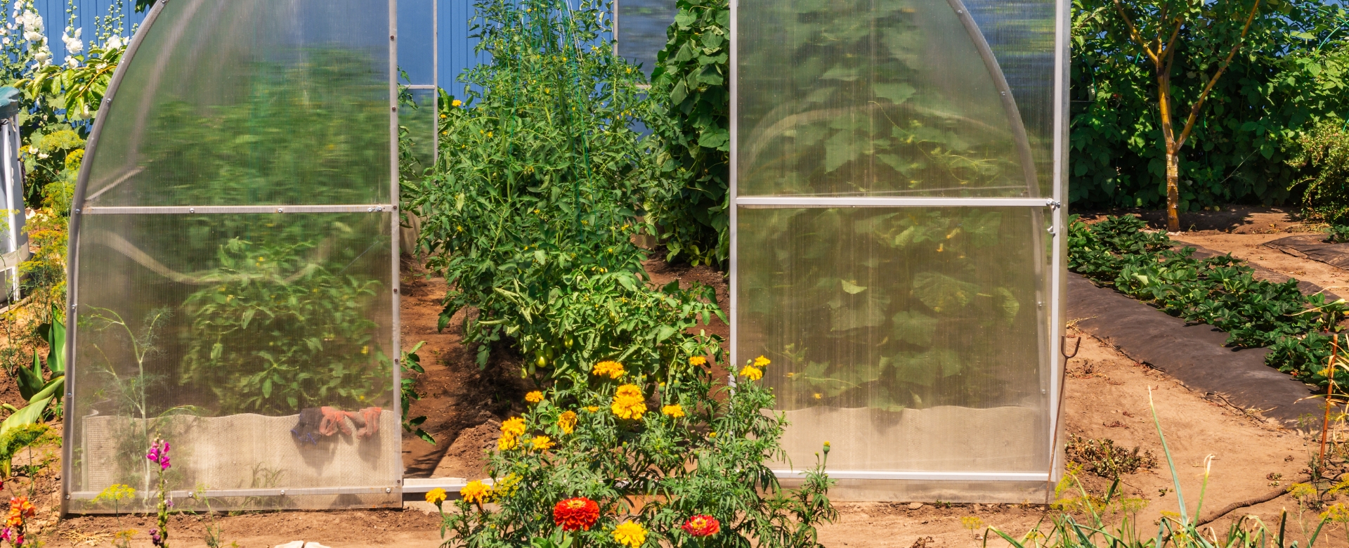 how to start greenhouse gardening