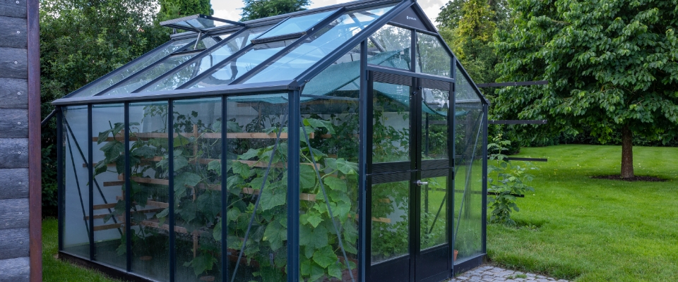 basic of greenhouse gardening