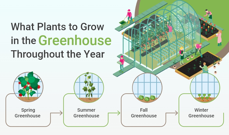 best plant to grow in greenhouse