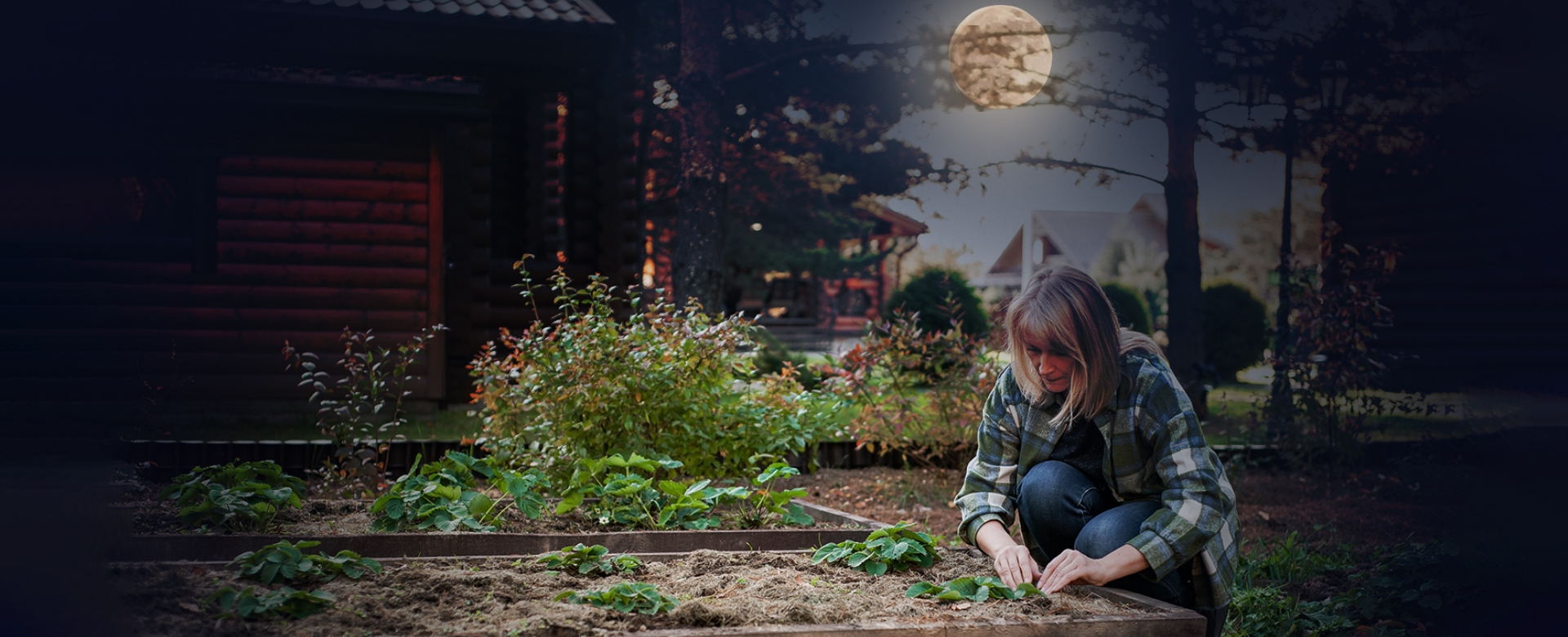 Moon Phase Gardening