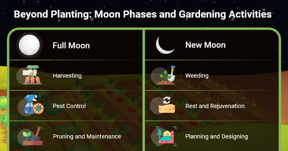 Gardening by the Moon